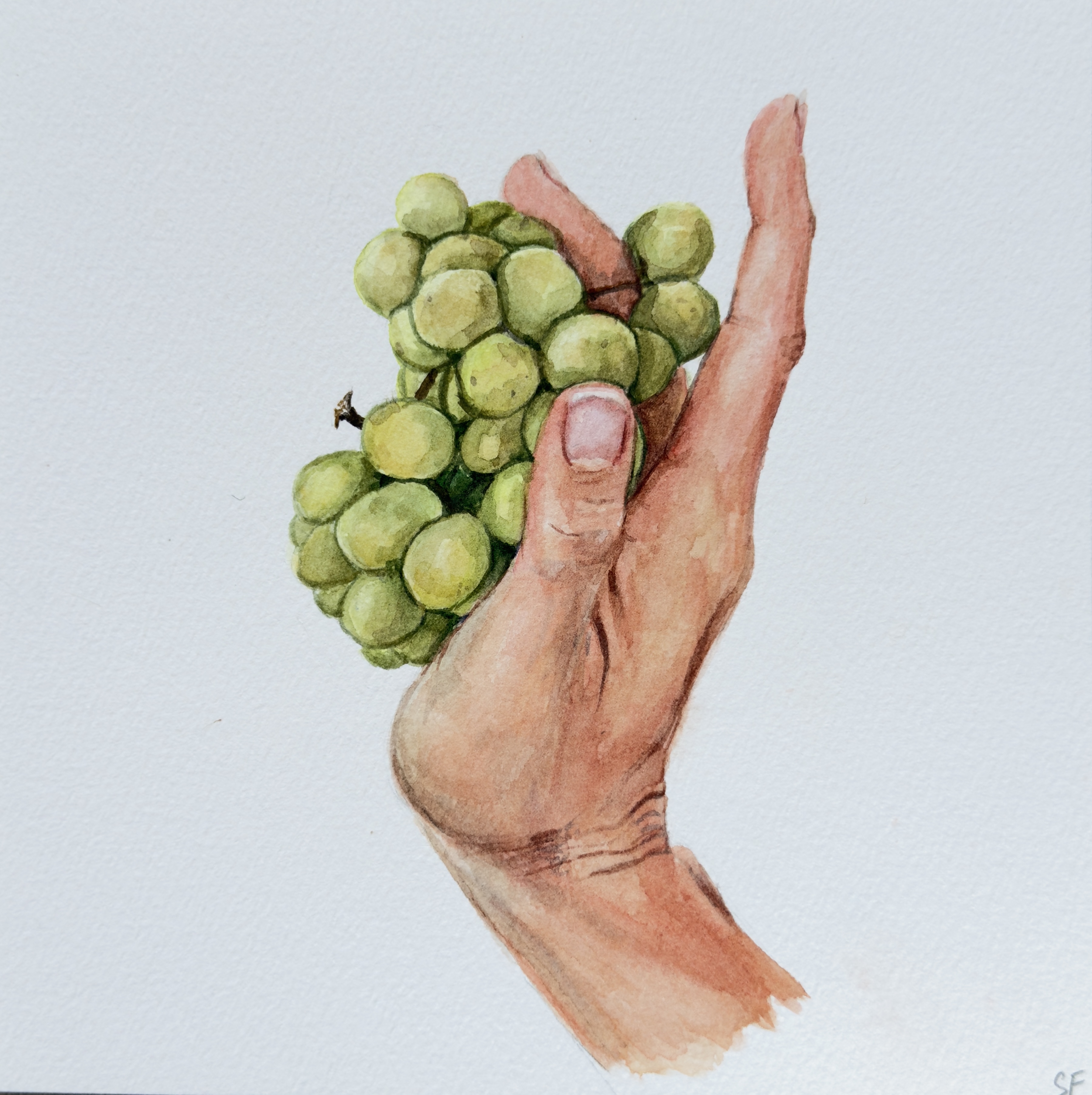 VINE - painting by Sasha Fofanova